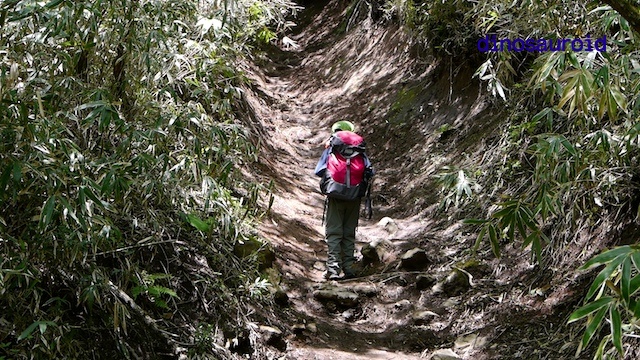 c0093131_21524243.jpg