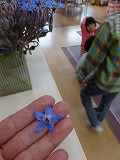 f0167635_14103419.jpg