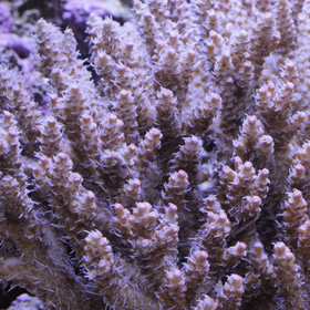 d0221436_21442058.jpg