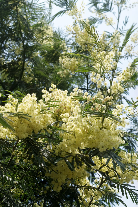 b0075541_14353480.jpg