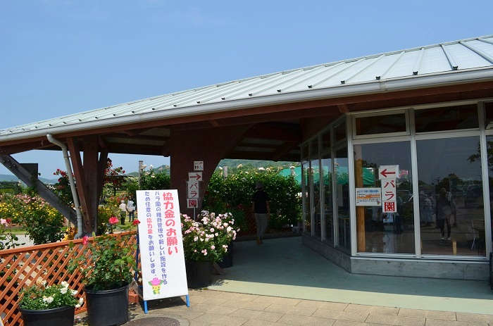 a0146442_19175088.jpg