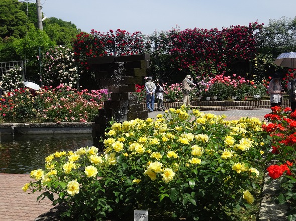 b0299042_19482285.jpg