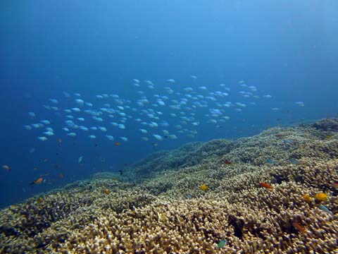 f0014842_199149.jpg