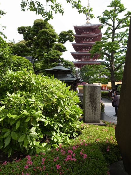 c0245349_2364894.jpg