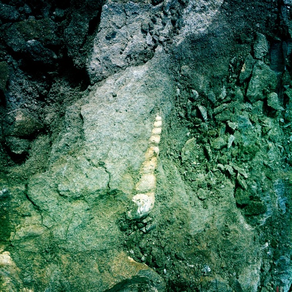 c0312349_1762112.jpg