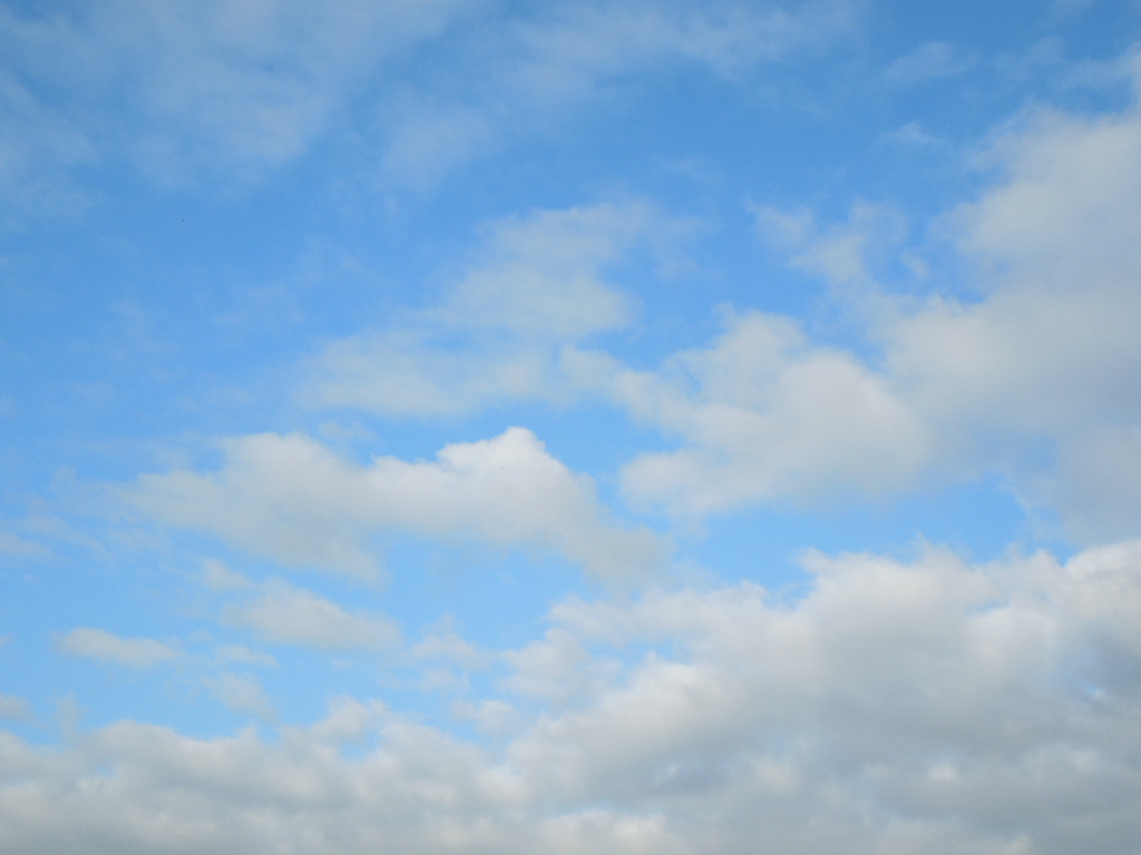 e0107171_16462011.jpg