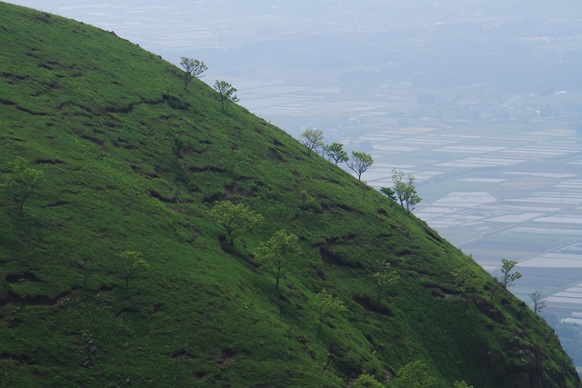 d0126577_20285487.jpg
