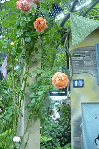 f0166982_2223223.jpg