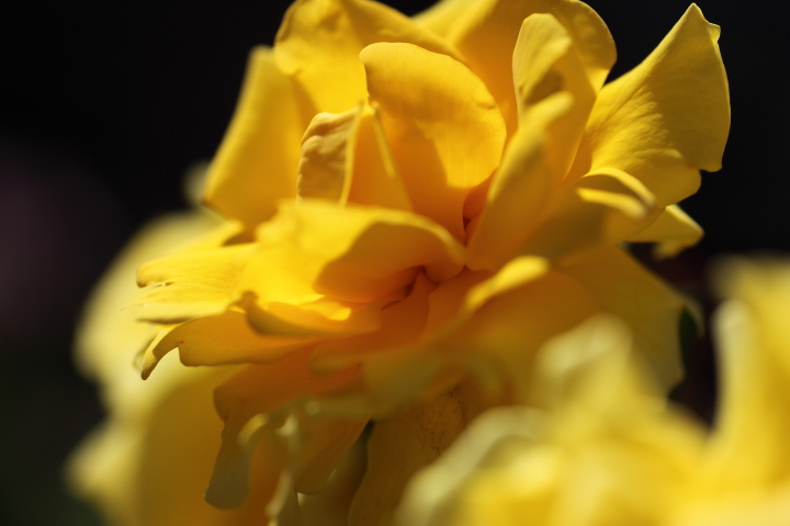 f0164989_1032143.jpg