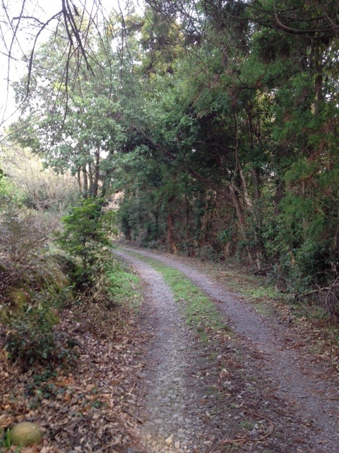 f0038892_22142584.jpg
