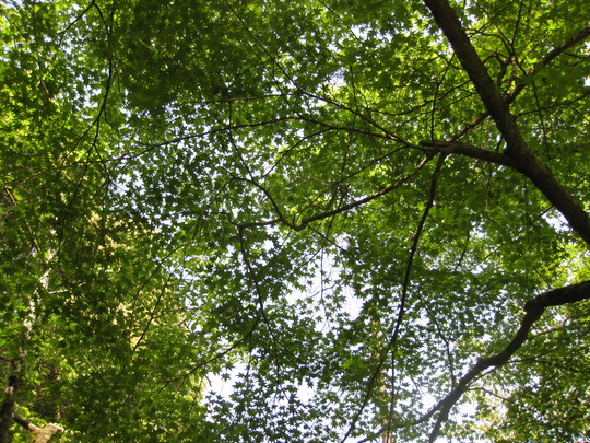 f0010195_23495747.jpg