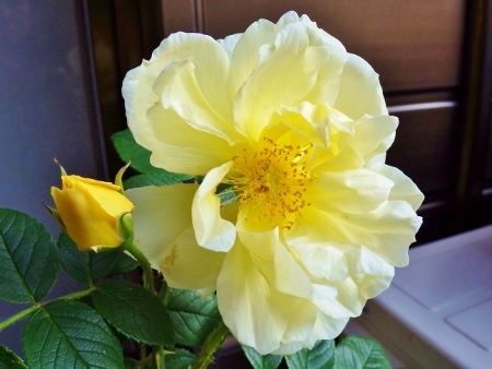 a0125598_21175852.jpg