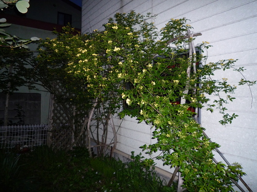 b0035611_19491399.jpg
