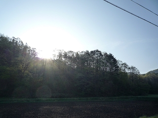 c0189218_7165056.jpg