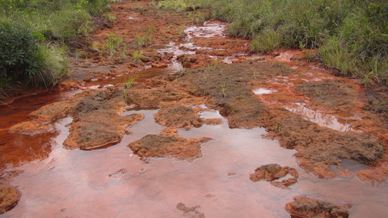 d0187020_1441552.jpg