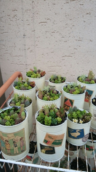 f0277327_22531870.jpg