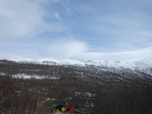 a0024829_050372.jpg