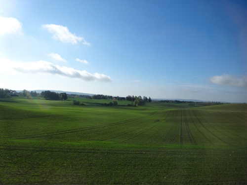 a0024829_1161118.jpg