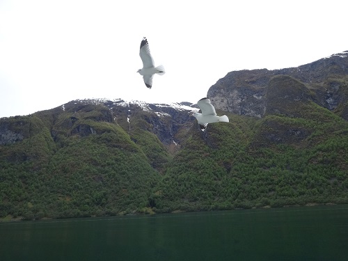 a0024829_19423.jpg