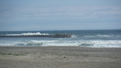 a0284729_21172566.jpg