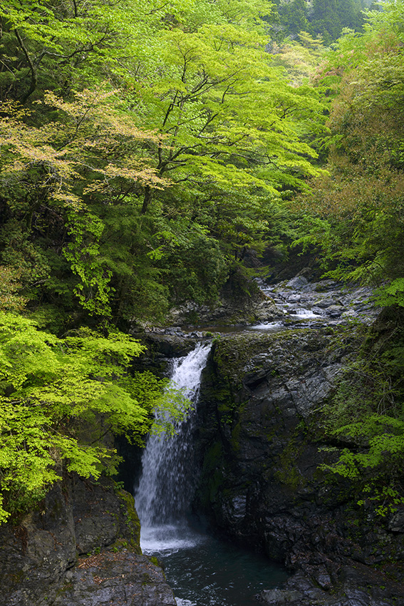 d0147530_109218.jpg