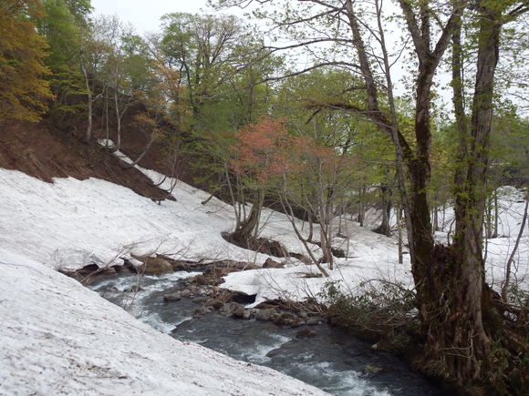 f0118332_2011170.jpg