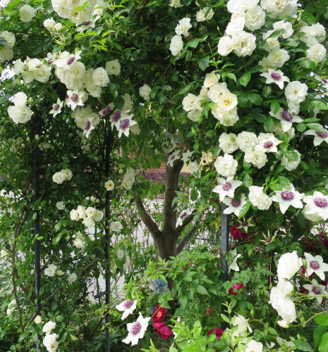 b0178339_23263521.jpg