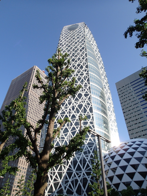 b0190242_21191799.jpg