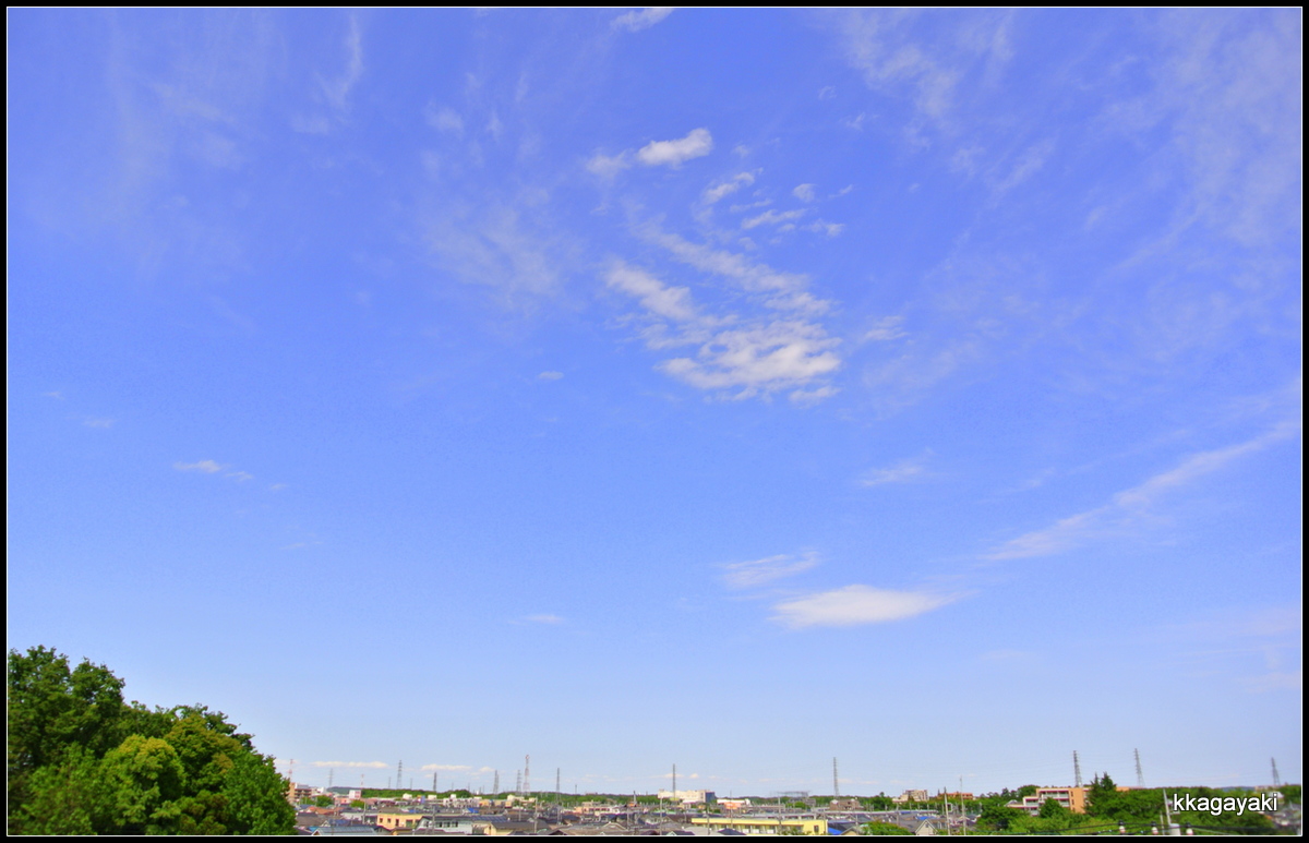 e0206242_6522853.jpg