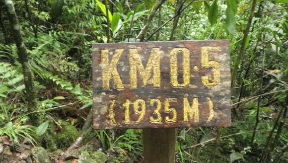 c0042847_13502359.jpg