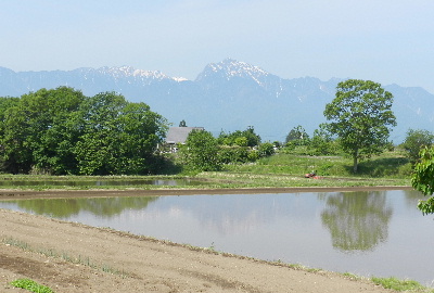 e0172950_15565026.jpg
