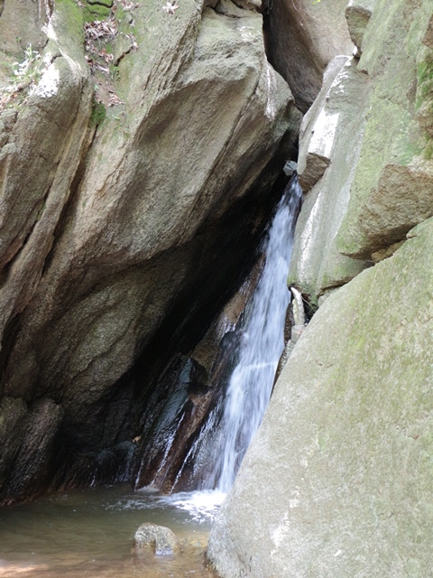 e0017051_20511399.jpg