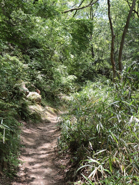 e0017051_20512381.jpg