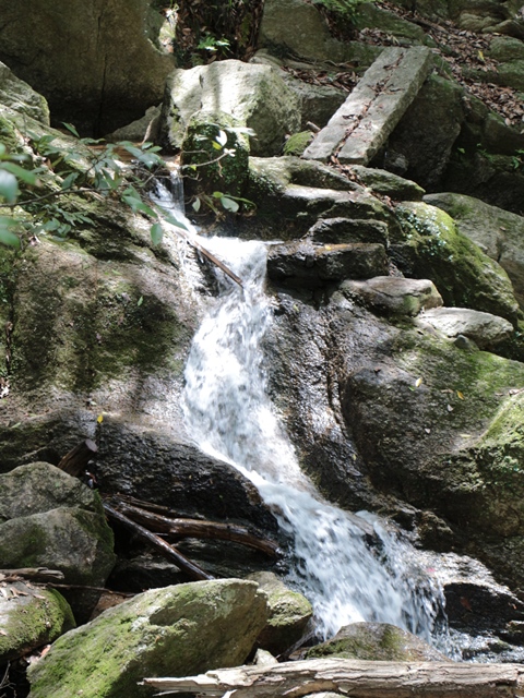 e0017051_2051432.jpg