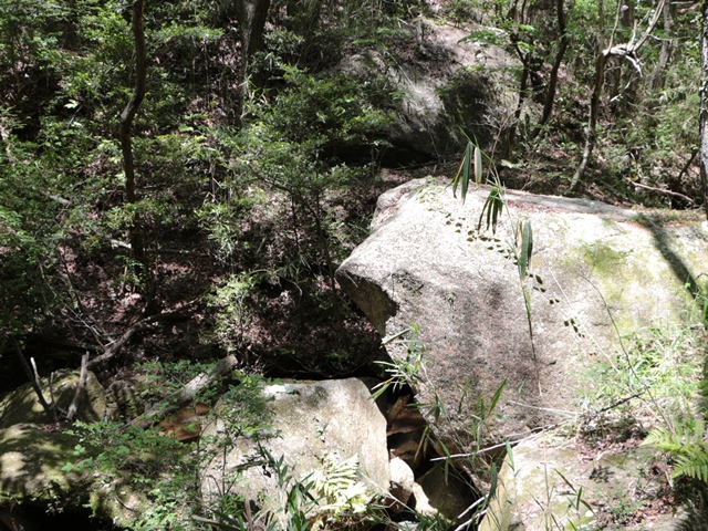 e0017051_20514529.jpg