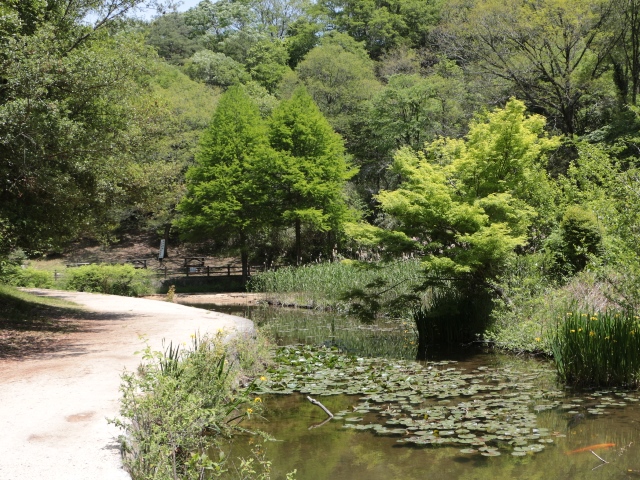 e0017051_20515736.jpg