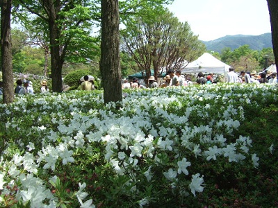 e0225164_101297.jpg