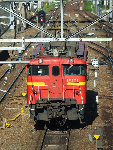 c0139966_74203.jpg