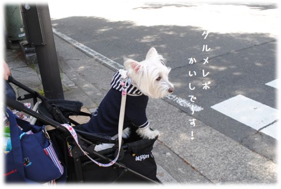 b0242873_01571328.png