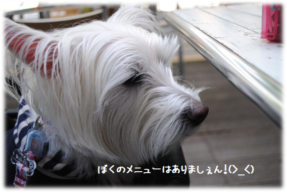 b0242873_02035622.png