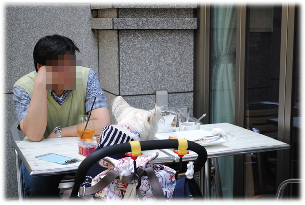 b0242873_02110388.png