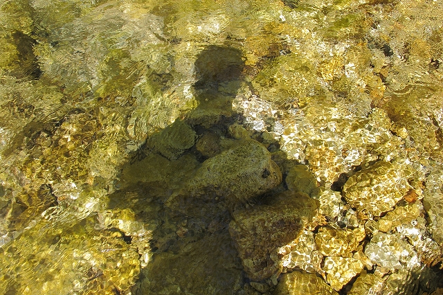 c0220175_13103972.jpg