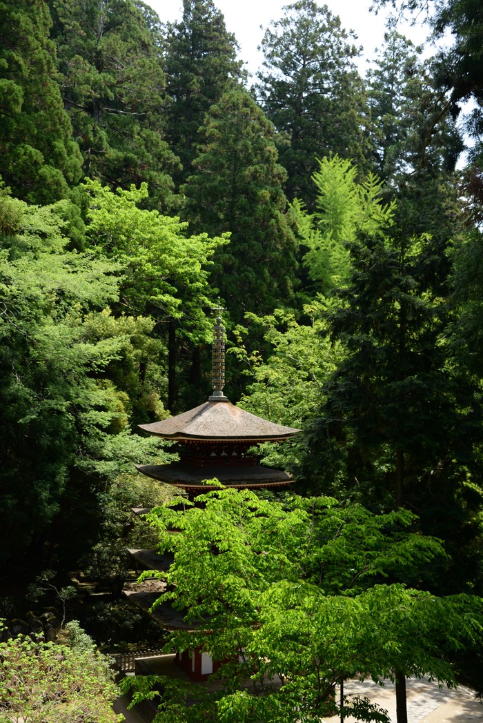 c0019376_2356263.jpg