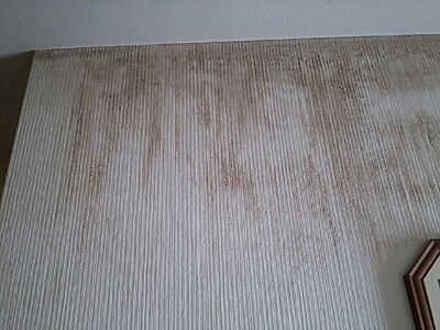 c0204188_21575838.jpg