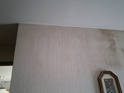 c0204188_21582444.jpg