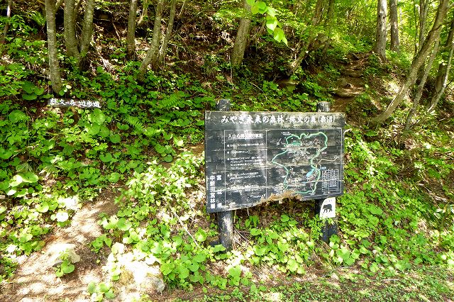 e0137200_21155099.jpg