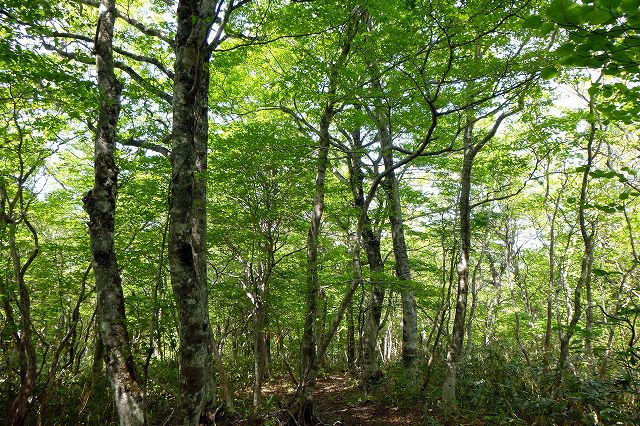 e0137200_2116851.jpg