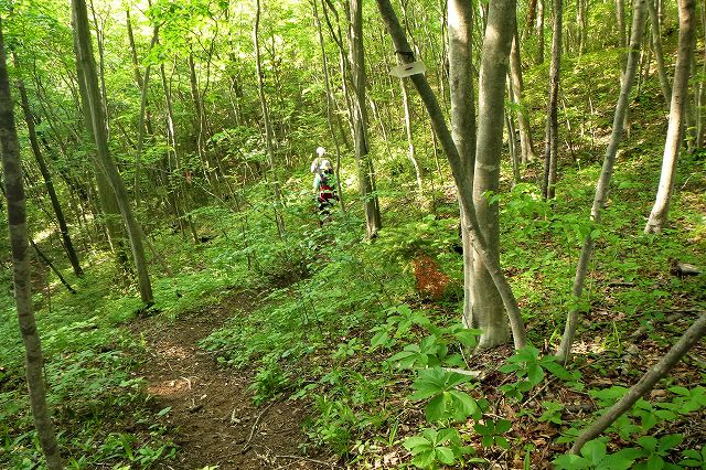 e0137200_21262076.jpg