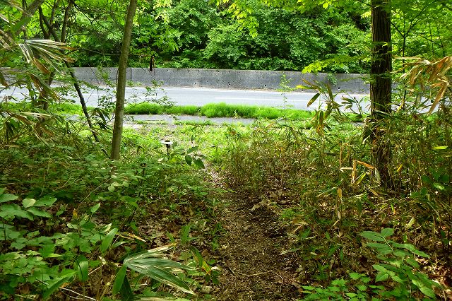 e0137200_21263251.jpg