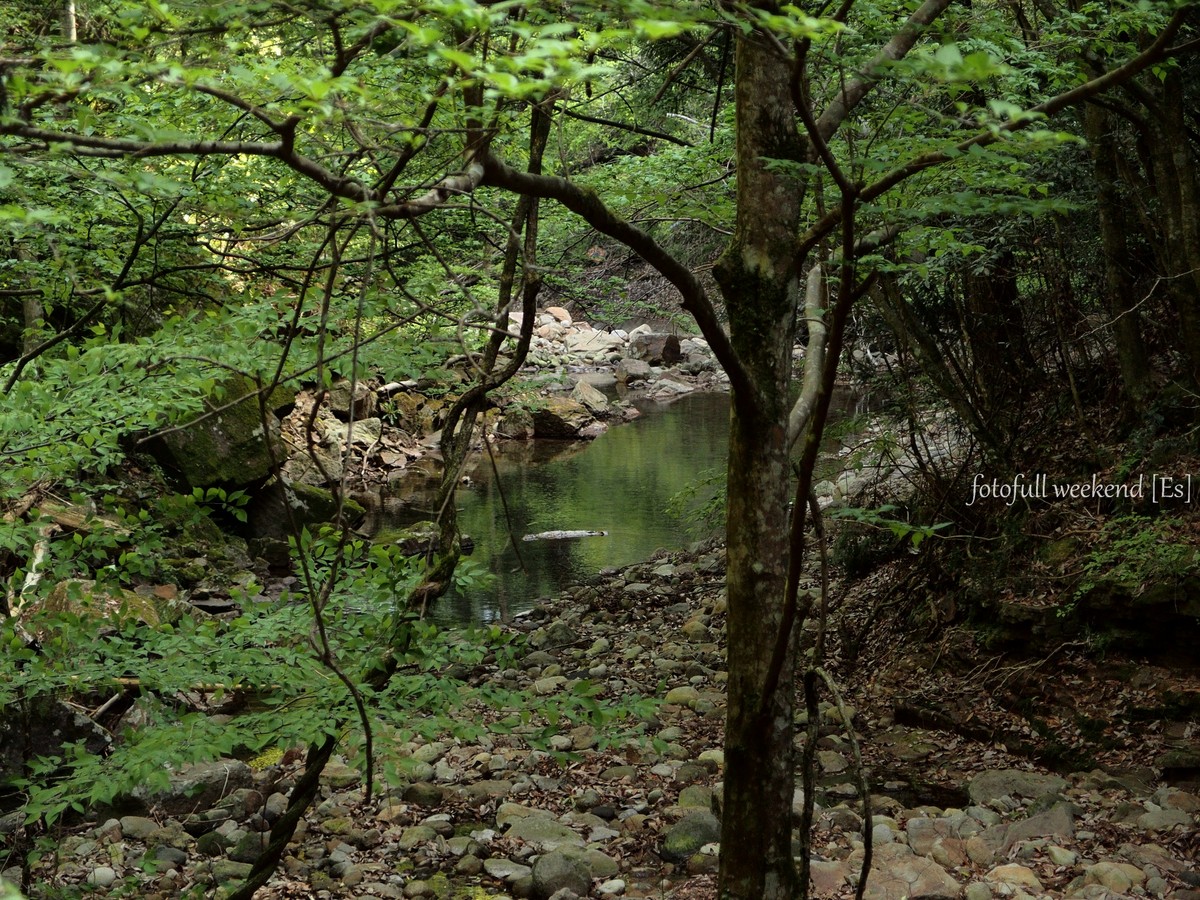 b0138101_21454440.jpg